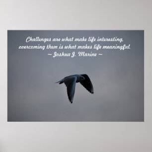 Utmaningar Poster