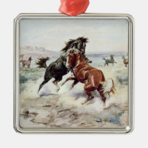Utmaningen (Vilda hästar som kämpar)
