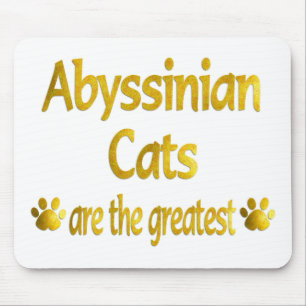 Utmärkt Abyssinian Musmatta
