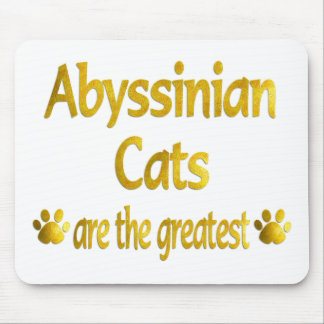 Utmärkt Abyssinian Musmatta
