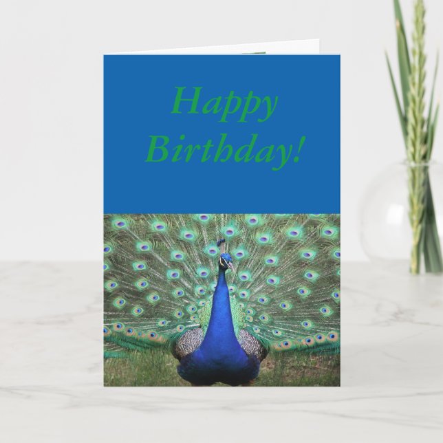 Utmärkt färgad Peacock, födelsedagskort Kort (Framsida)