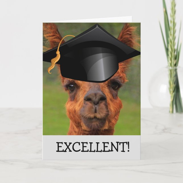 Utmärkt Llama Studenten Kort (Framsida)