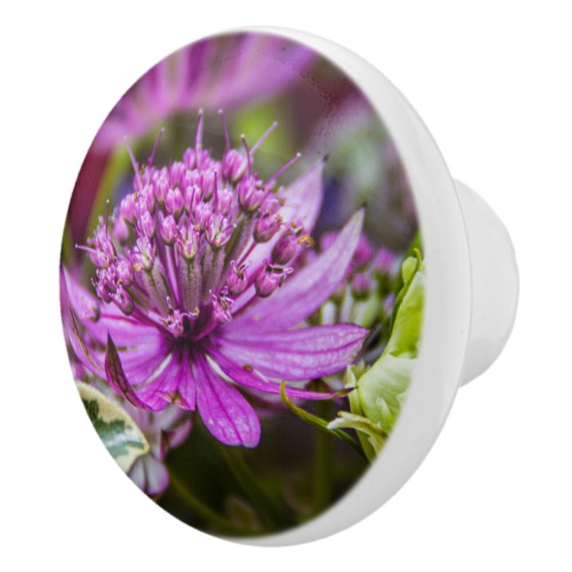 Utmärkt magi med blommar nummer 1 knopp (Höger)