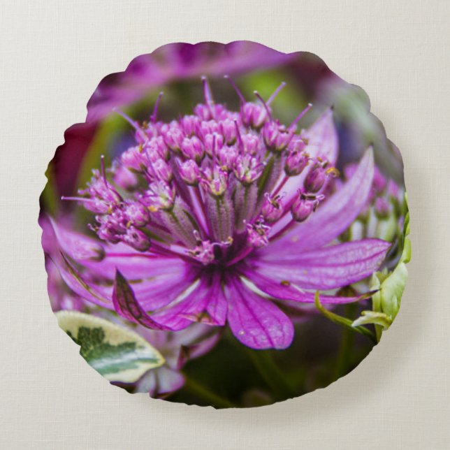 Utmärkt magi med blommar nummer 1 rund kudde (Framsidan)