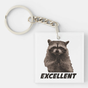 Utmärkt ond konspirera Raccoon