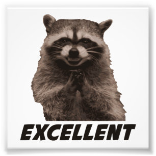 Utmärkt ond konspirera Raccoon Fototryck