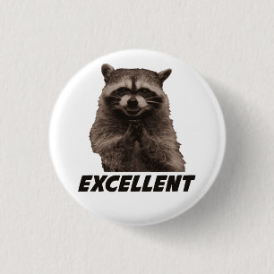 Utmärkt ond konspirera Raccoon Knapp