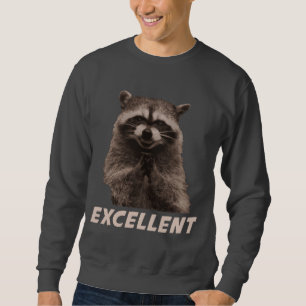 Utmärkt ond konspirera Raccoon Lång Ärmad Tröja