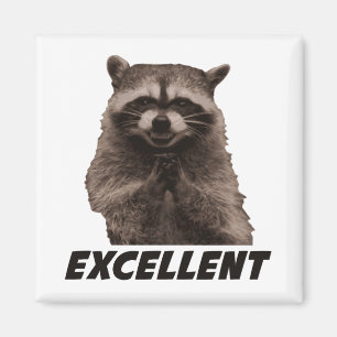 Utmärkt ond konspirera Raccoon Magnet