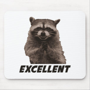 Utmärkt ond konspirera Raccoon Musmatta