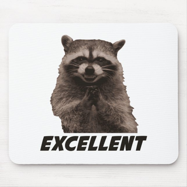 Utmärkt ond konspirera Raccoon Musmatta (Framsidan)