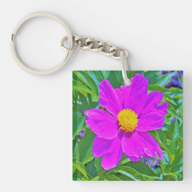 Utmärkt Ultra Violet Peony med Gult Center (Framsidan)