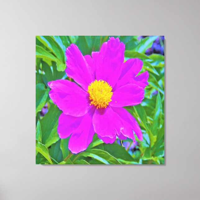 Utmärkt Ultra-Violet Peony med Gult Center Canvastryck (Framsida)