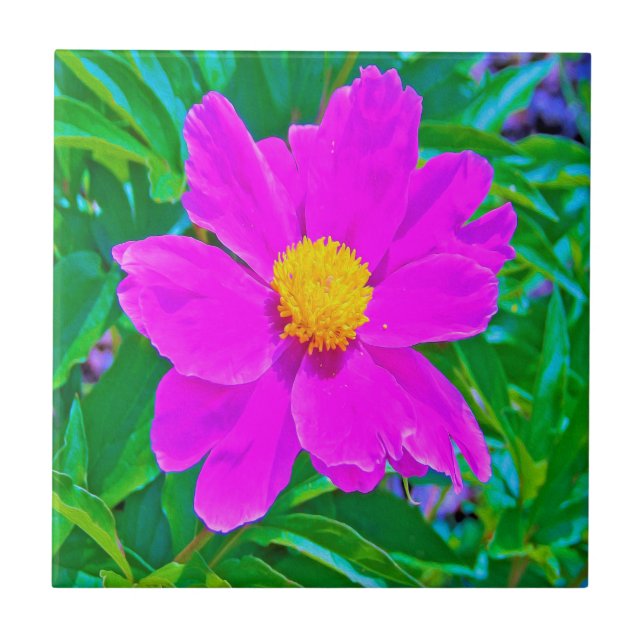 Utmärkt Ultra Violet Peony med Gult Center Kakelplatta (Framsidan)