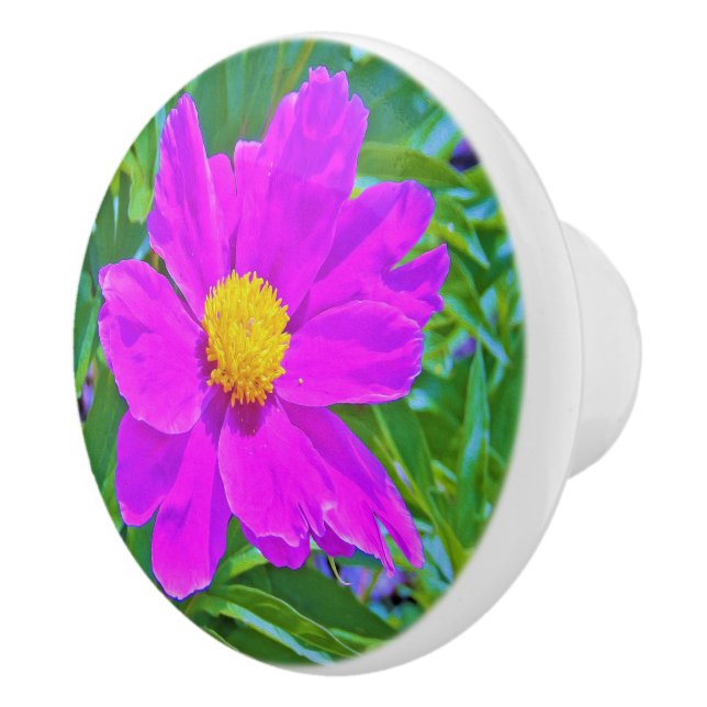 Utmärkt Ultra Violet Peony med Gult Center Knopp (Höger)