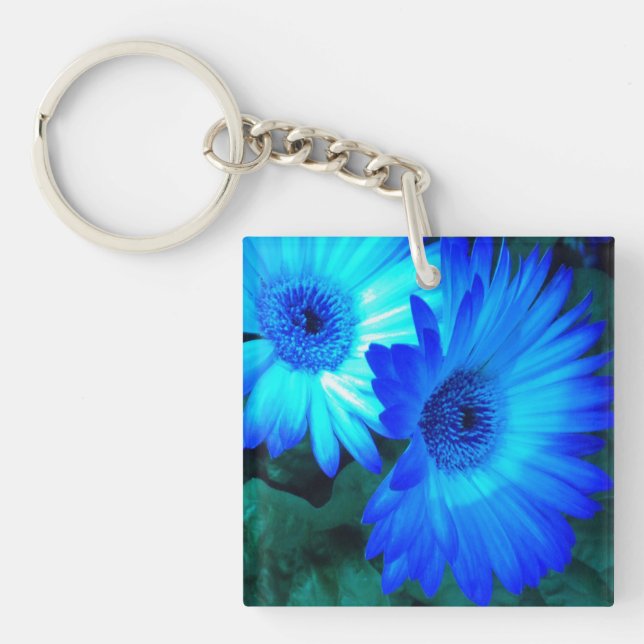 Utmärkta blå Daisy (Framsidan)