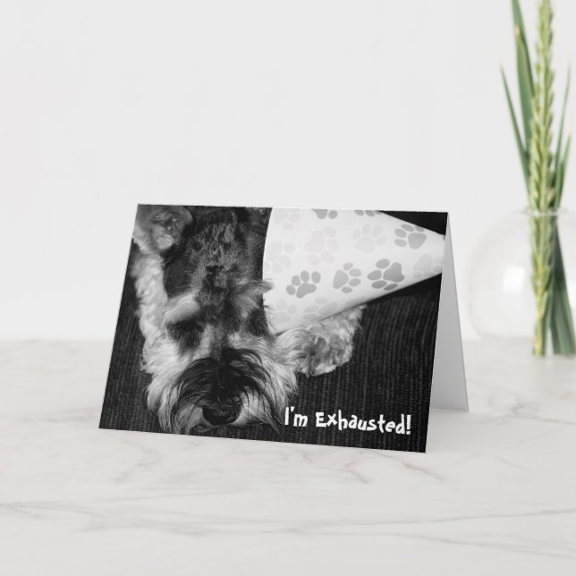 Utmattad valp med kortet för partyhattfödelsedag kort (Framsida)