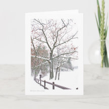 Utnämningar i naturen: storleka Hälsning