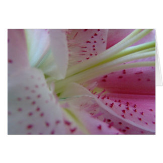 Utöka Hälsningskort