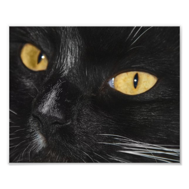 Utökning av svarta foto (Framsidan)