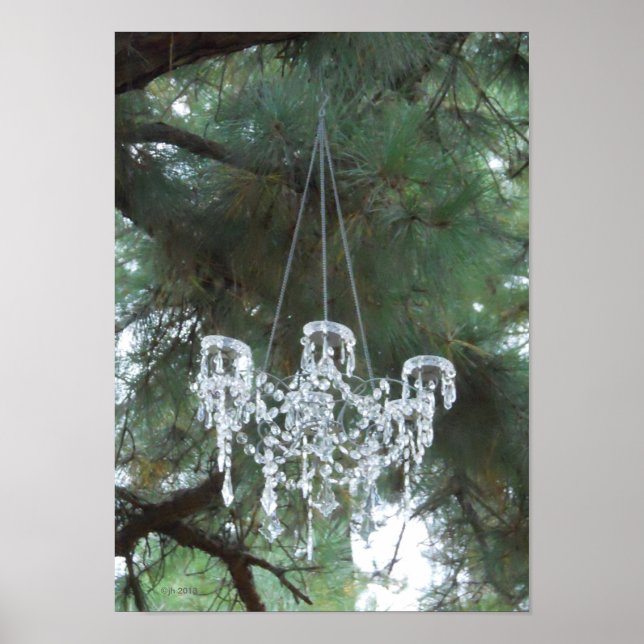 Utomhus Landsbyggsbröllop Chandelier i Gräs Poster (Framsidan)
