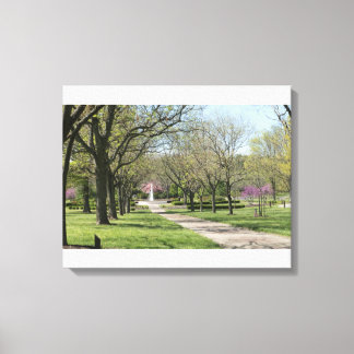 Utomhus vatten fontän i veteranparken canvastryck