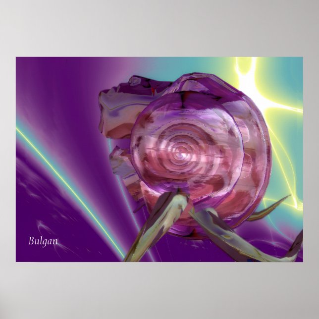 UTOMJDISK NEREID /NYMF AV VATTEN,ROSA HAVSSKAL Sci Poster (Framsidan)