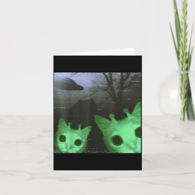 Utomjording Katter Ufo Roligt Kusligt Katt Meme Fö Kort (Framsida)