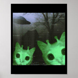 Utomjording Katter Ufo Roligt Kusligt Katt Meme Fö Poster