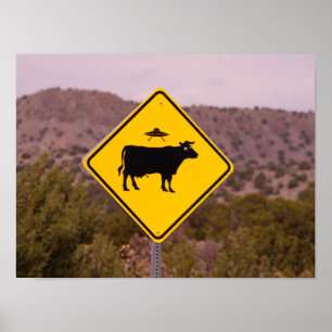 Utomjordingarna UFO undertecknar New mexico i Catt Poster