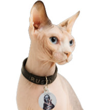 Utomjordisk Hårlös Sphynx Katt Anpassat Namn Husdj