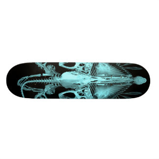 Utomjordisk skelett varelse skateboard bräda 20,5 cm
