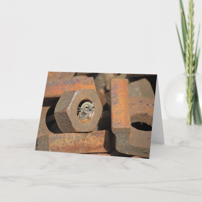 Utomjordiskt gömställe kort (Framsida)