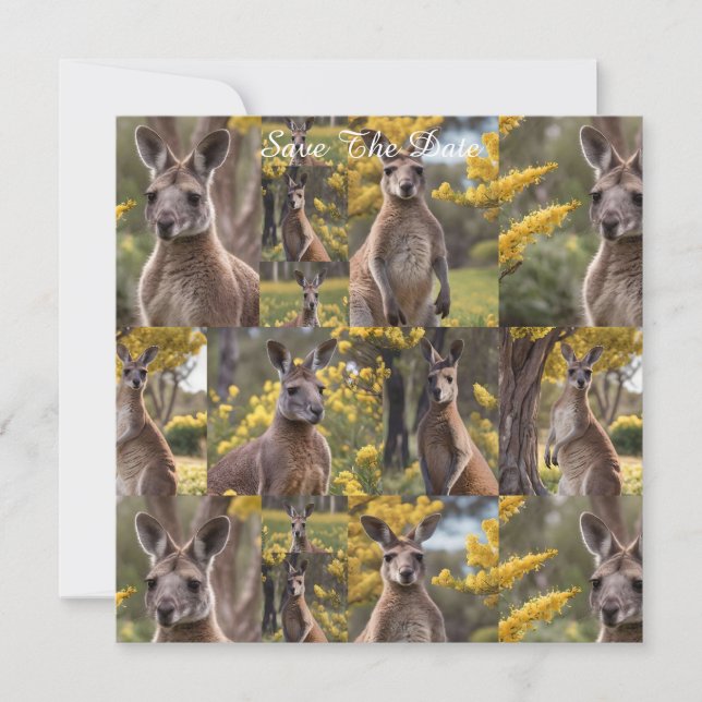 Utomliggande skönhet: Kangaroo och stridsfoto. Spara Datumet (Framsida)