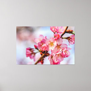 Utomordentlig skönhet hos Rosa Sakura Flowers i Vå Canvastryck