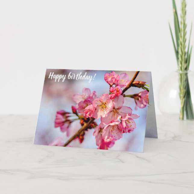 Utomordentlig skönhet hos Rosa Sakura Flowers i Vå Kort (Framsida)