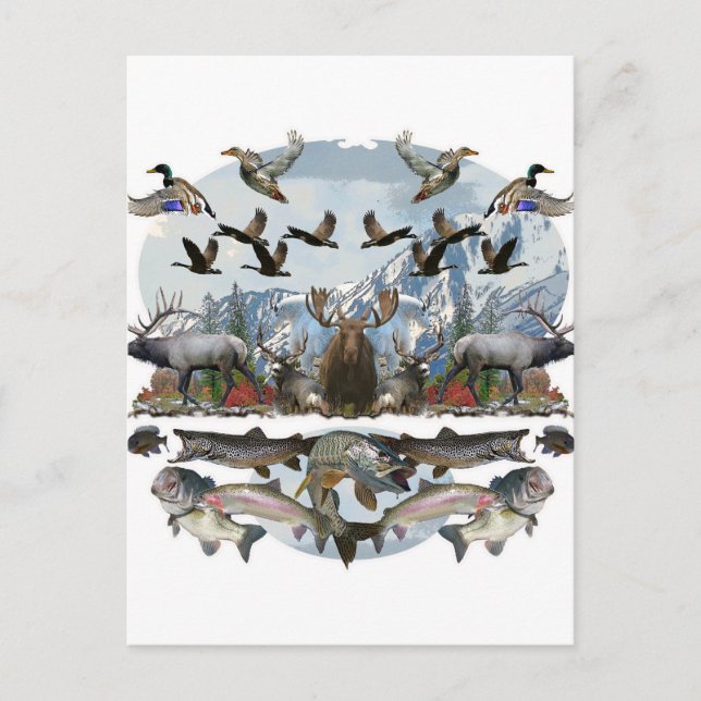 Utomstående liv vykort (Framsida)