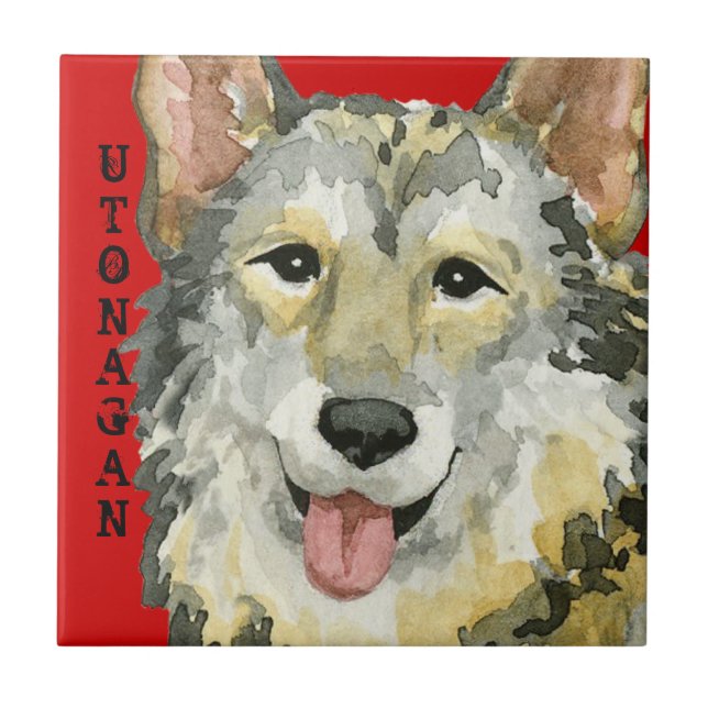 Utonagan Färg Block Kakelplatta (Framsidan)