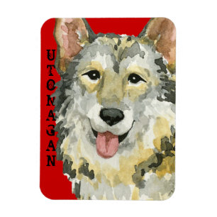 Utonagan färgkvarter magnet