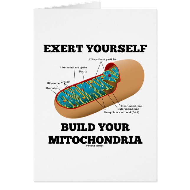 Utöva sig Yourself byggande dina Mitochondria Hälsningskort (Framsidan)