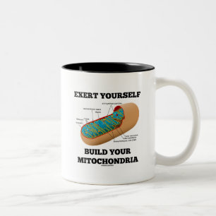 Utöva sig Yourself byggande dina Mitochondria Två-Tonad Mugg
