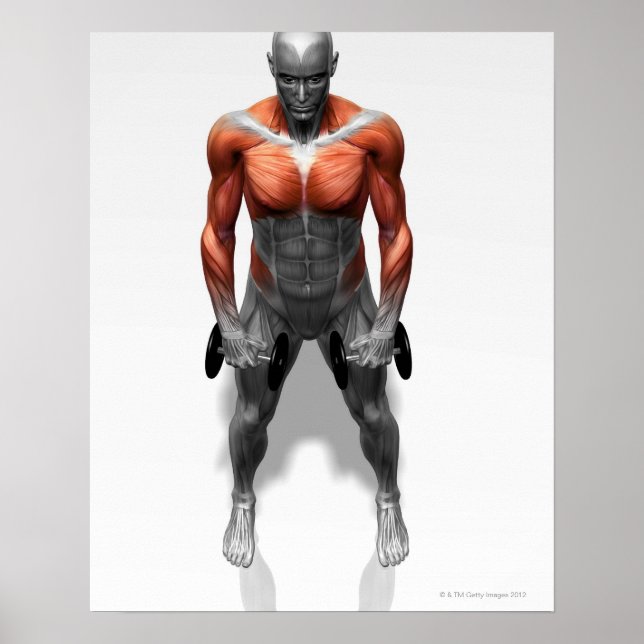 Utövande av upprätt rad poster (Framsidan)