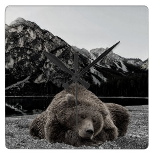 Utrymme för ryggsköljning Rustik kabindepå liggand Fyrkantig Klocka