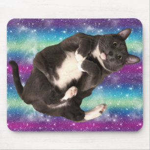 Utrymme Kattunge Musmatta