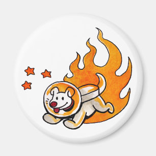 Utrymmehund Magnet