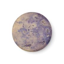 Utrymmesbeslag, magnet