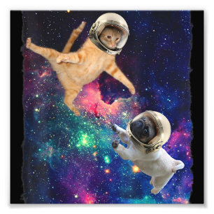 Utrymmeskatt kontra Space Hund Galaxy Epic Fig in Fototryck