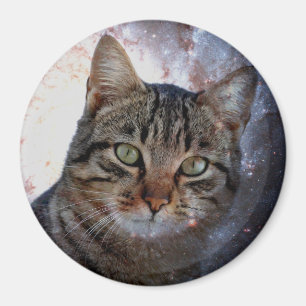 Utrymmeskatt Magnet