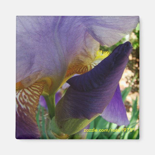 Utrymmet mellan magnet (Framsidan)