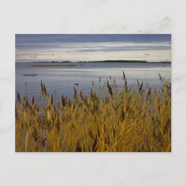 Utrymning från Ostrobothnia CC0076 vykort (Framsida)